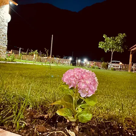Prrockaj Guest house