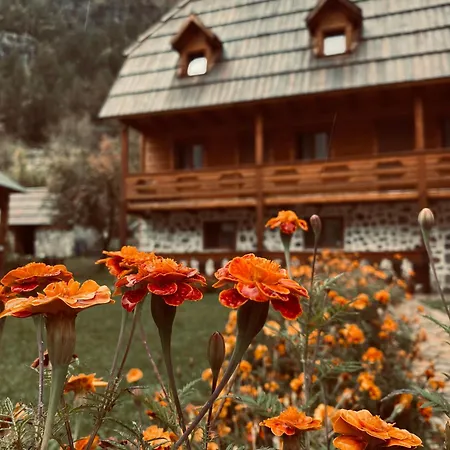 Guest house Prrockaj *