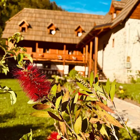 Prrockaj Πανσιόν Theth